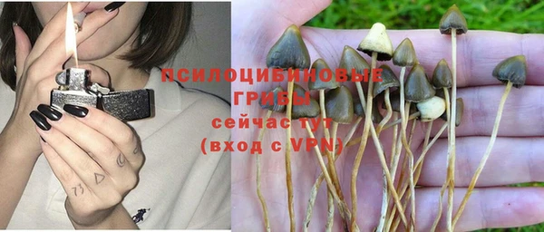 каннабис Кукмор