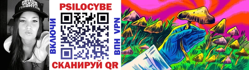 Галлюциногенные грибы мухоморы  дарнет шоп  Екатеринбург 
