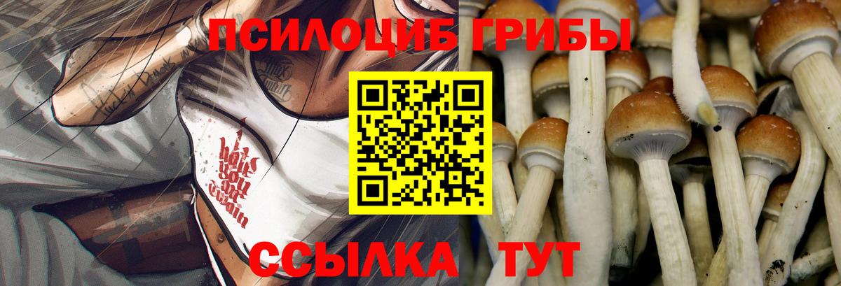 Псилоцибиновые грибы Cubensis  Екатеринбург  Псилоцибиновые грибы Cubensis 