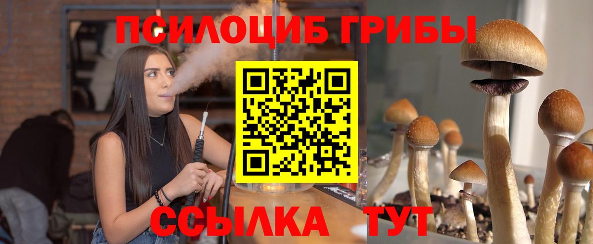 Галлюциногенные грибы Magic Shrooms Екатеринбург